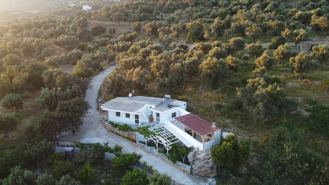 特里欧皮特拉Mano'S House别墅 外观 照片